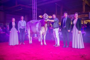 Erstmelk Champion BS